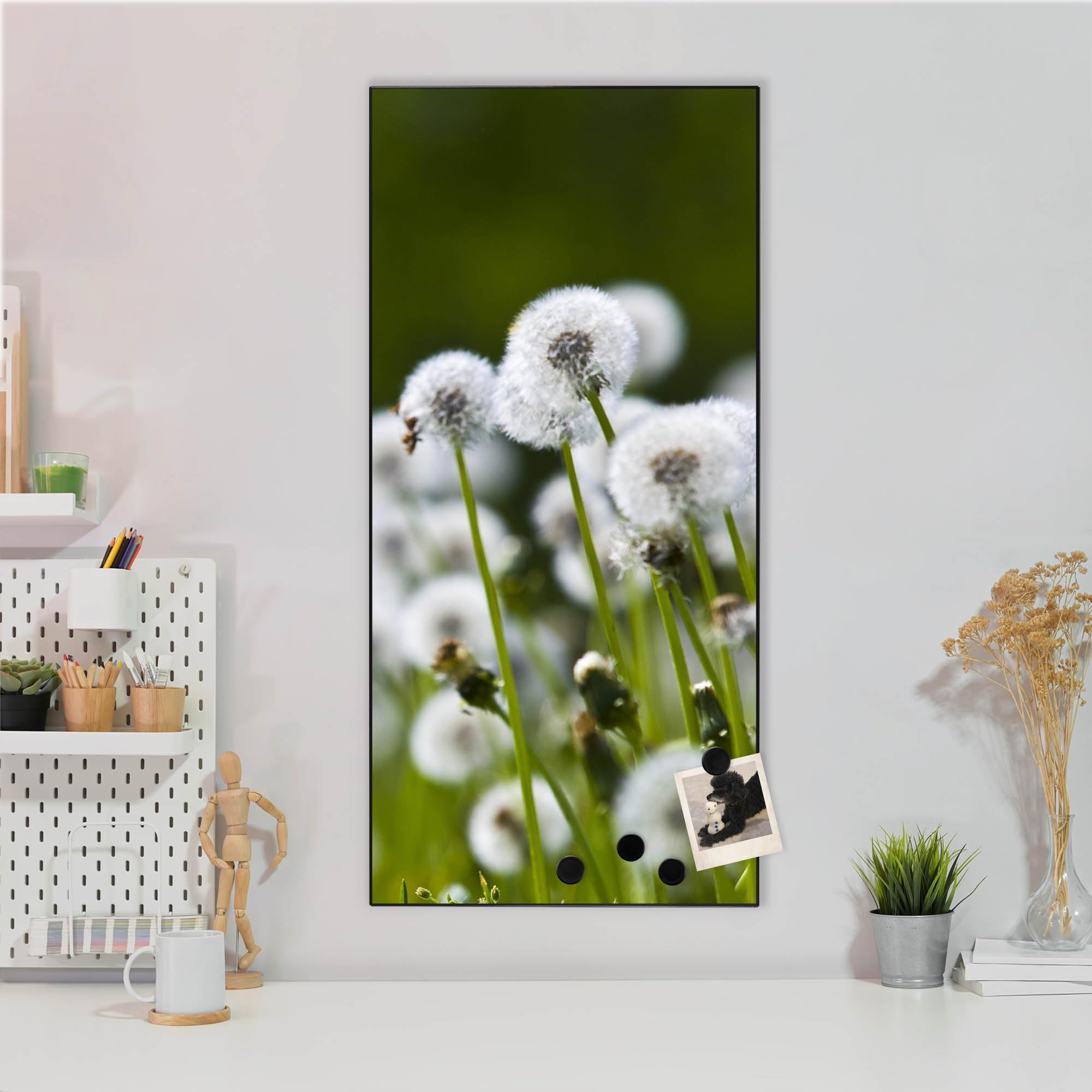 Banjado Magnettafel 37x78 Magnetwand Pusteblumenwiese Metall