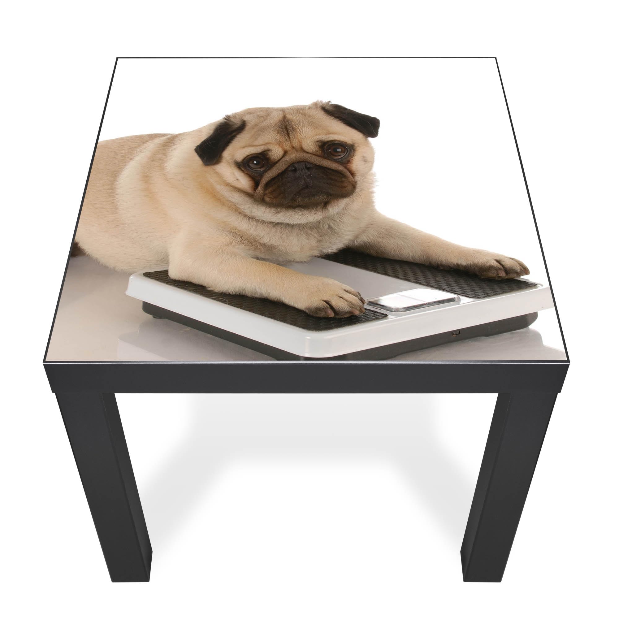 Banjado Möbelfolie Mops Tischfolie 55x55 cm selbstklebend