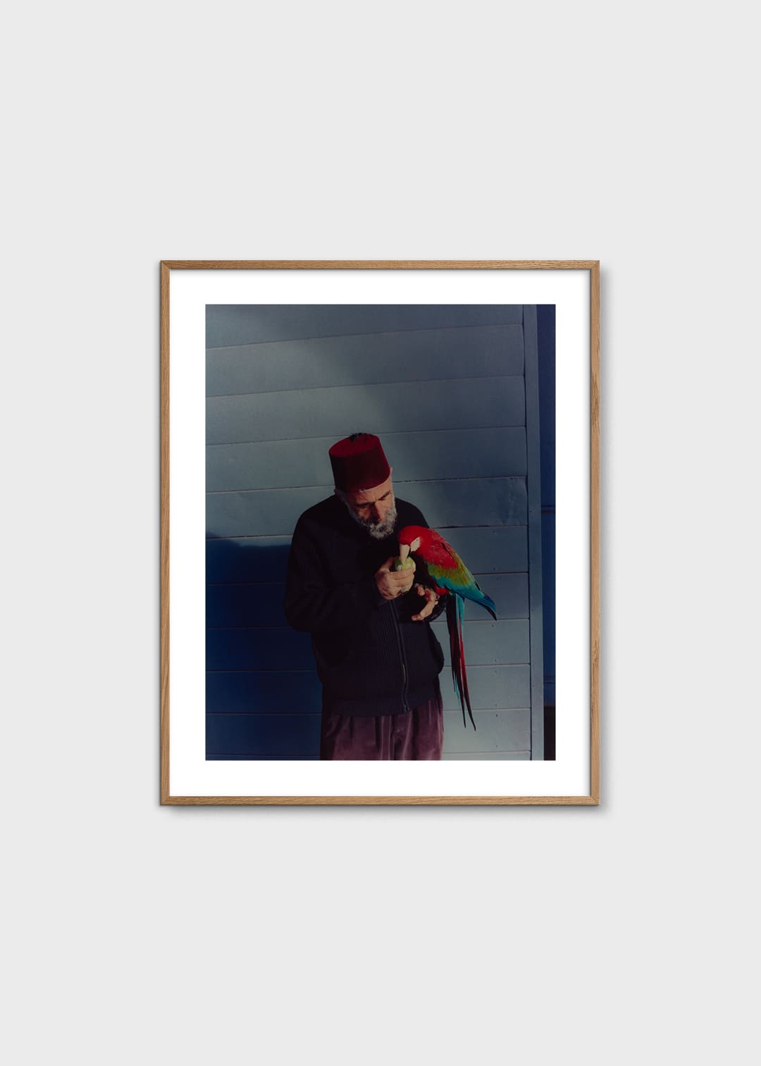 The Poster Club Istanbul Tier Poster 40x50 cm Bunt