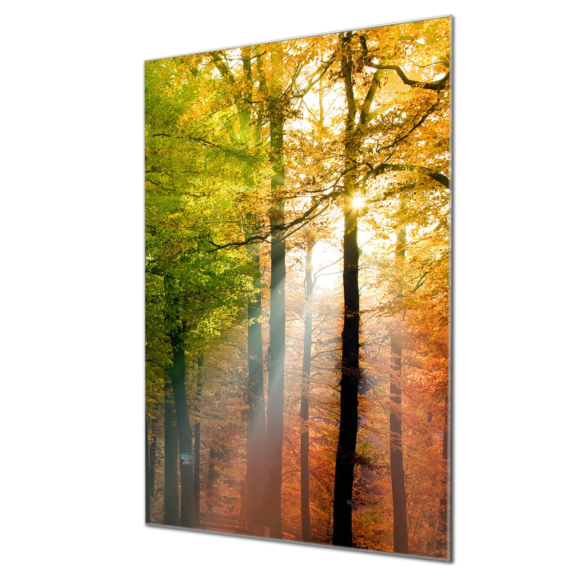 Banjado Glas Magnetwand Bambuswald 40x60cm beschreibbar