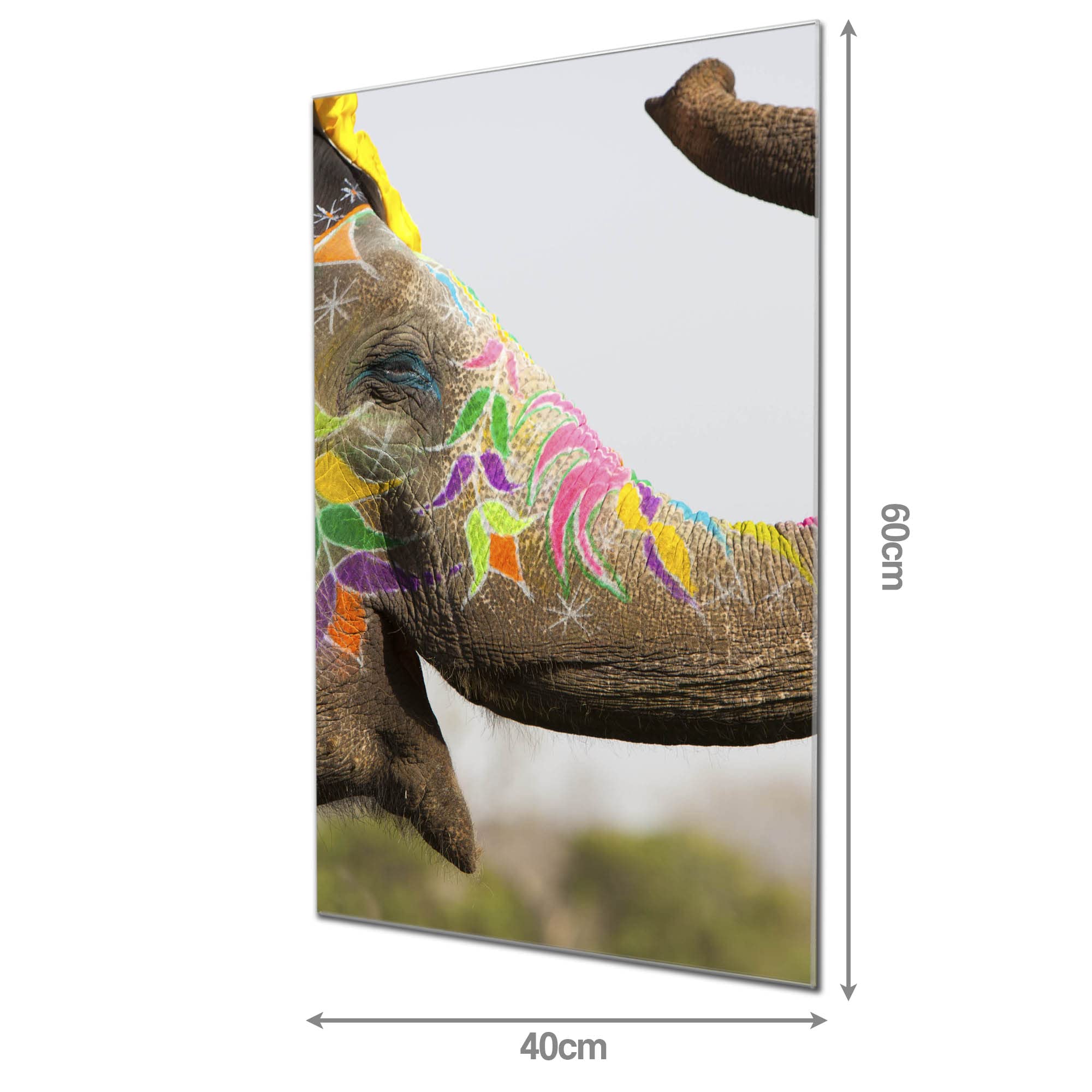 Banjado Magnettafel Glas 40x60cm Pinnwand Indischer Elephant Tier