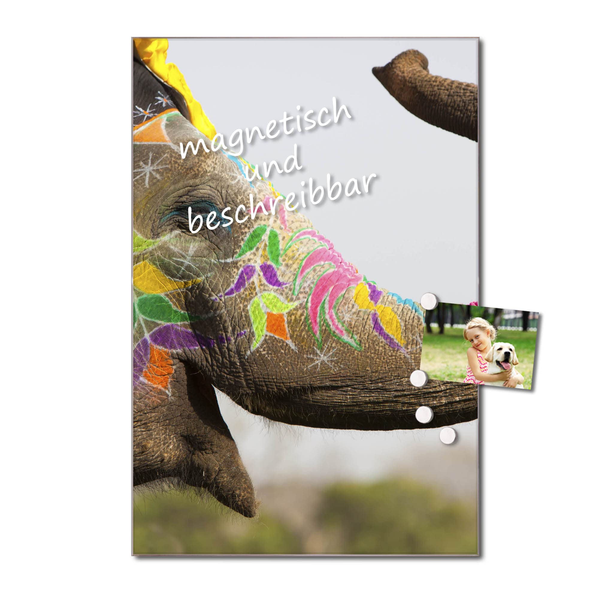 Banjado Magnettafel Glas 40x60cm Pinnwand Indischer Elephant Tier