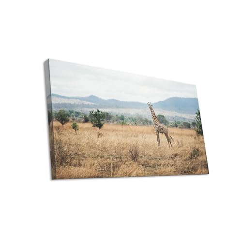 Hustling Sharks Wandbilder Giraffe in offener Savanne Leinwand 30x40 cm