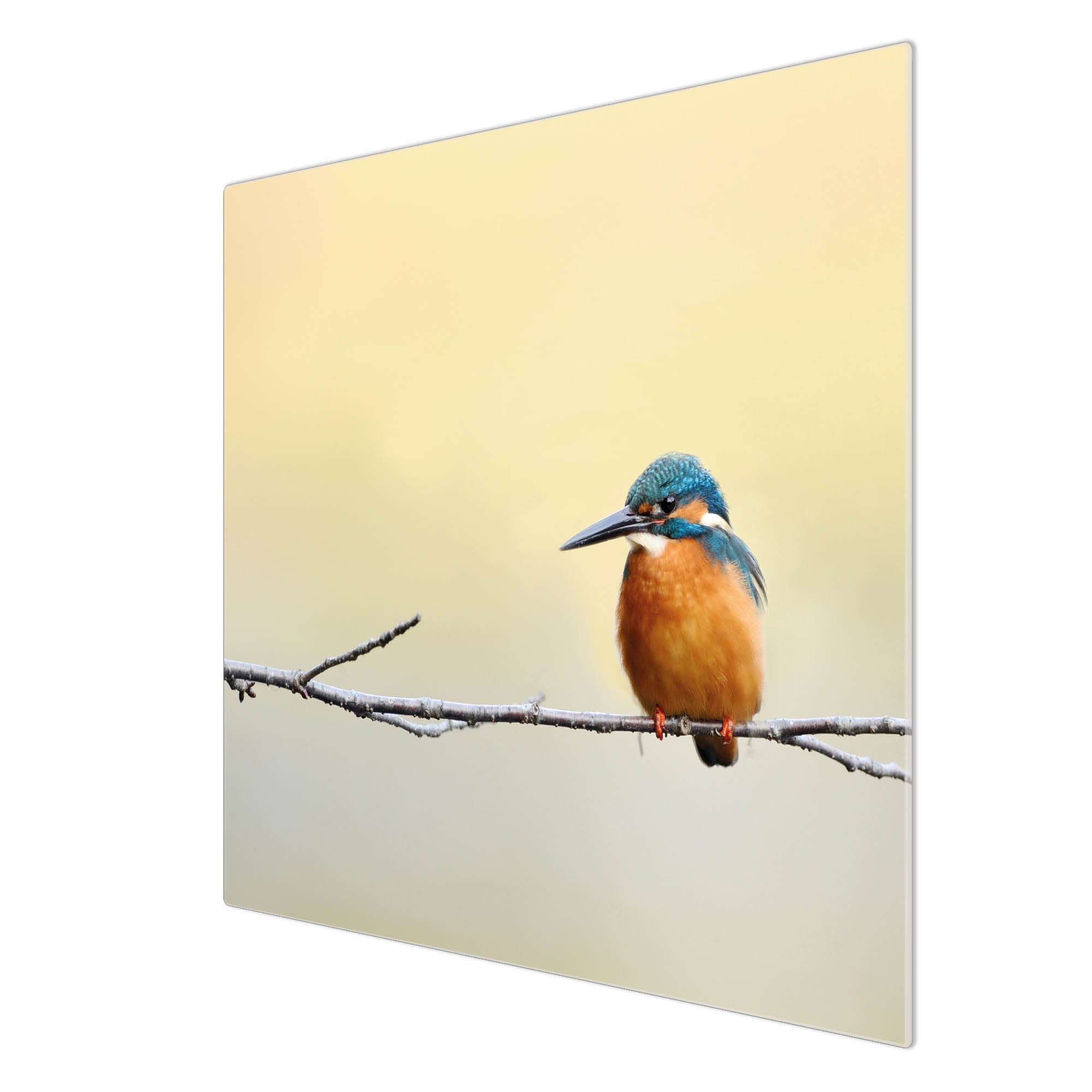 Banjado Herdabdeckplatten Pause Glas 60x52 cm Tiermotiv