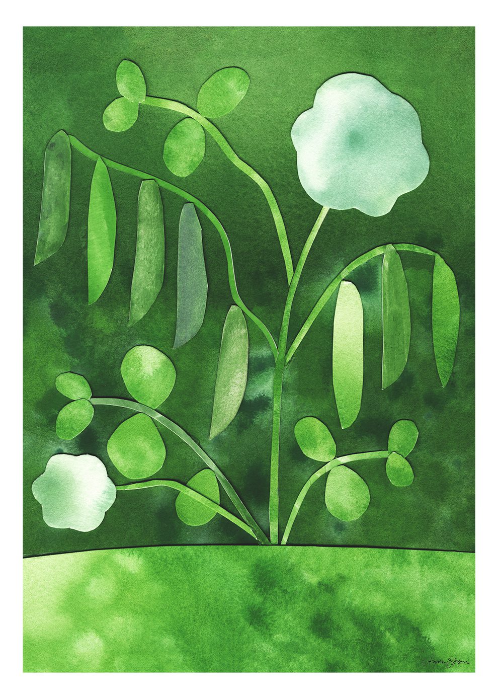The Poster Club Art Prints Peas in Bloom Kunstdruck 30x40 grün