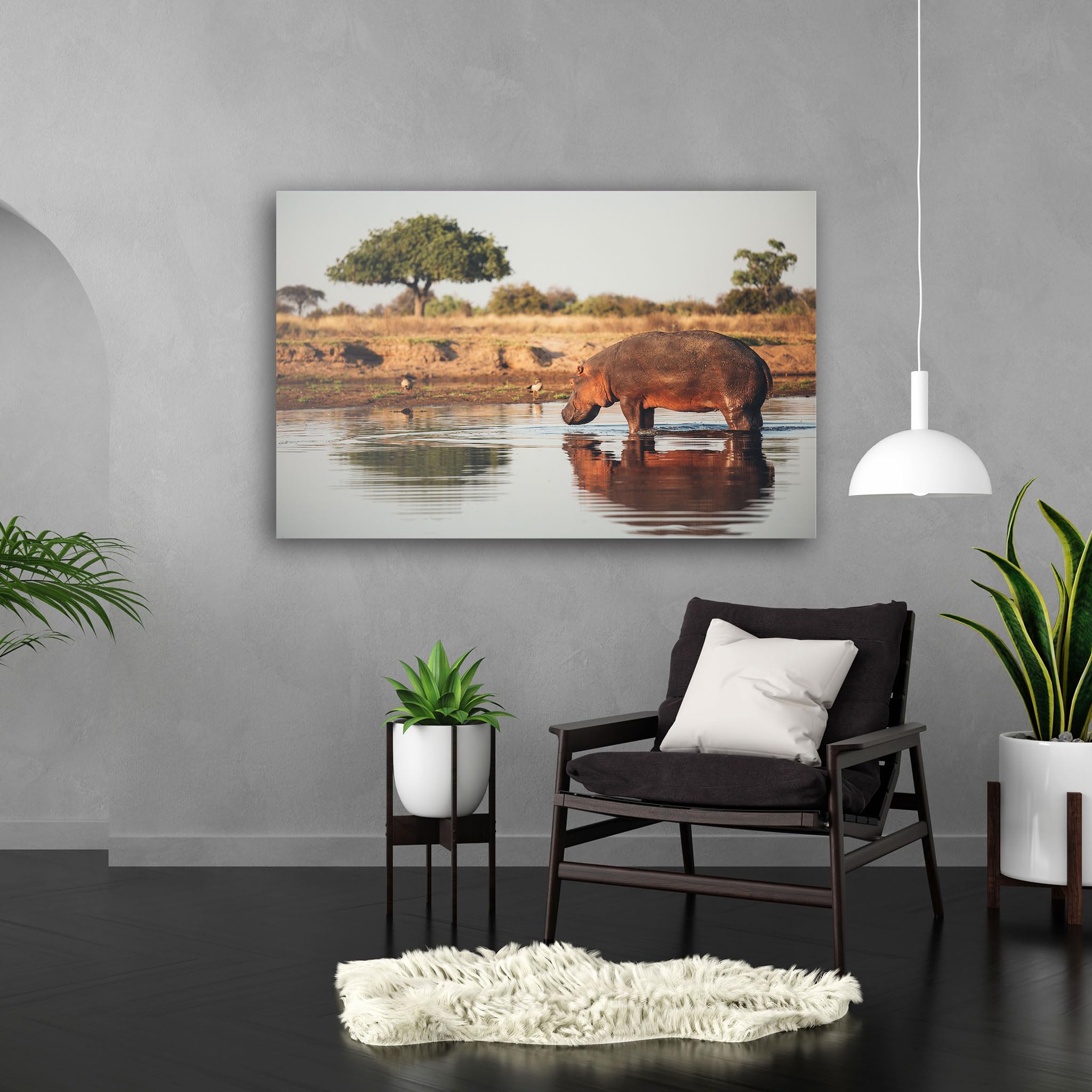 Hustling Sharks Wandbilder Flusspferd Leinwandbild 30 x 40 cm Tier