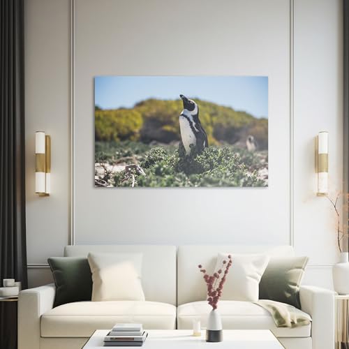 Hustling Sharks Wandbilder Pinguin Leinwandbild 30x40 cm Küste