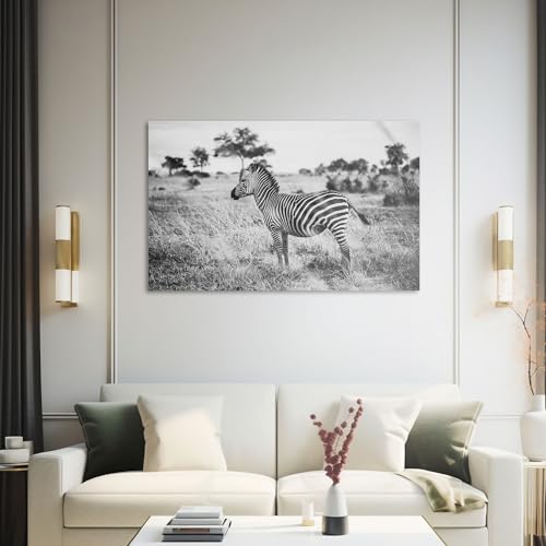 Hustling Sharks Wandbilder Zebra in stiller Weite Leinwandbild 30x40 cm Tier