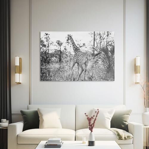 Hustling Sharks Wandbilder Giraffe im Schwarzweißlicht Leinwand 30x40