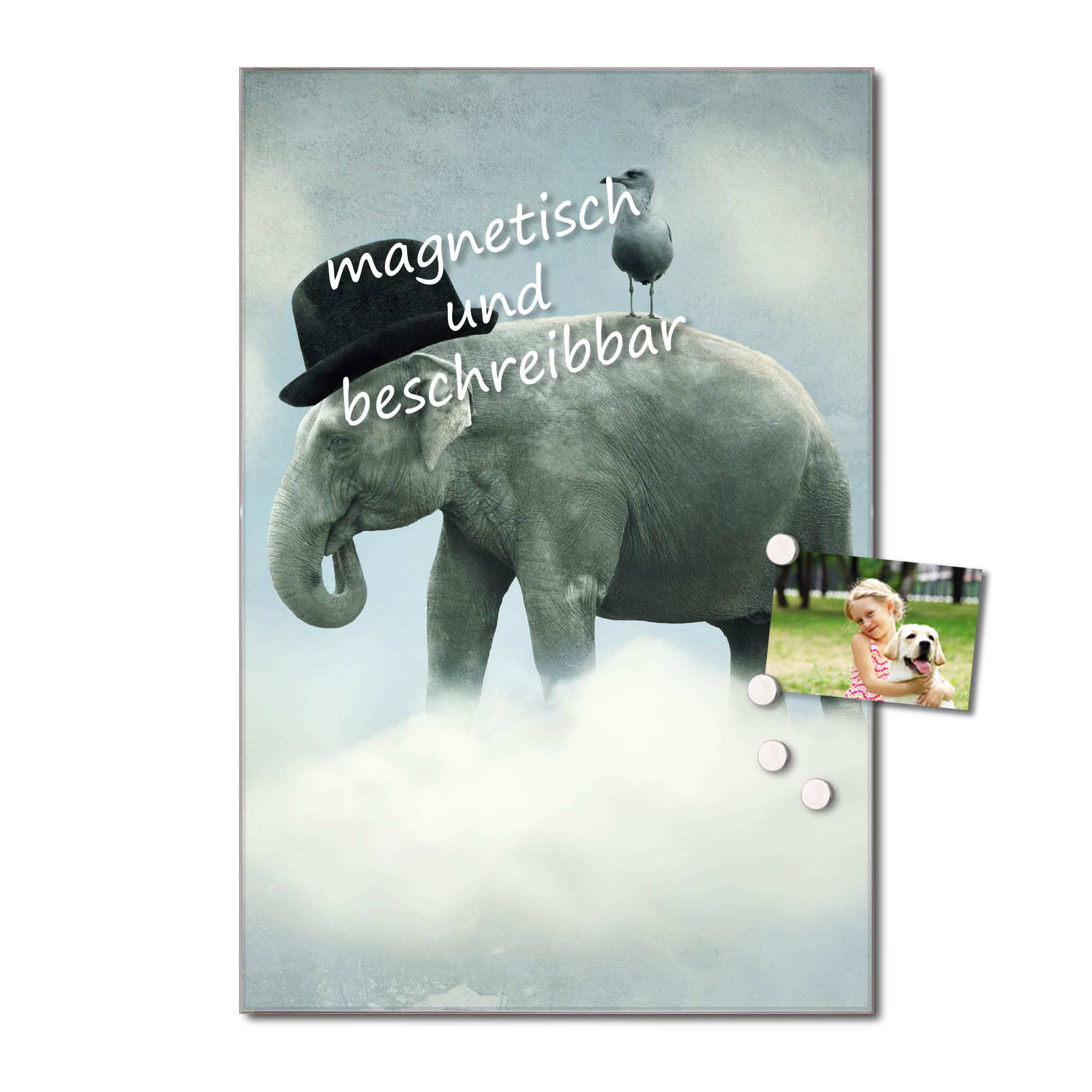 Banjado Magnettafel Elefant und Möwe Magnetboard 40x60 beschreibbar