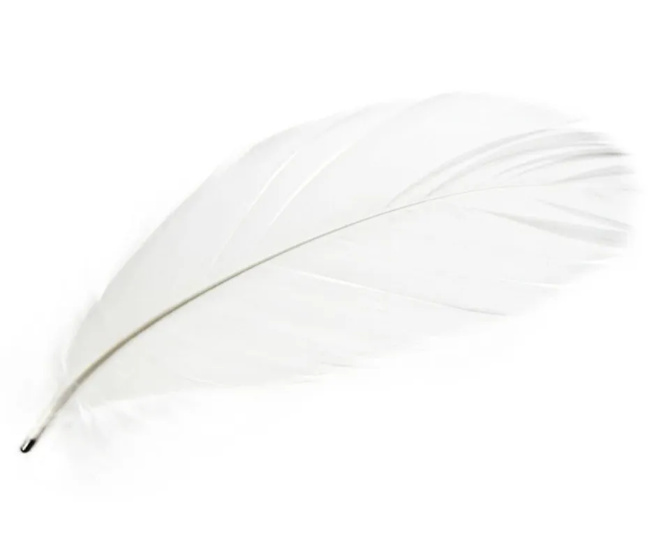 Mineheart Magic Magnetic Feathers Magnete Weiß 5er Set