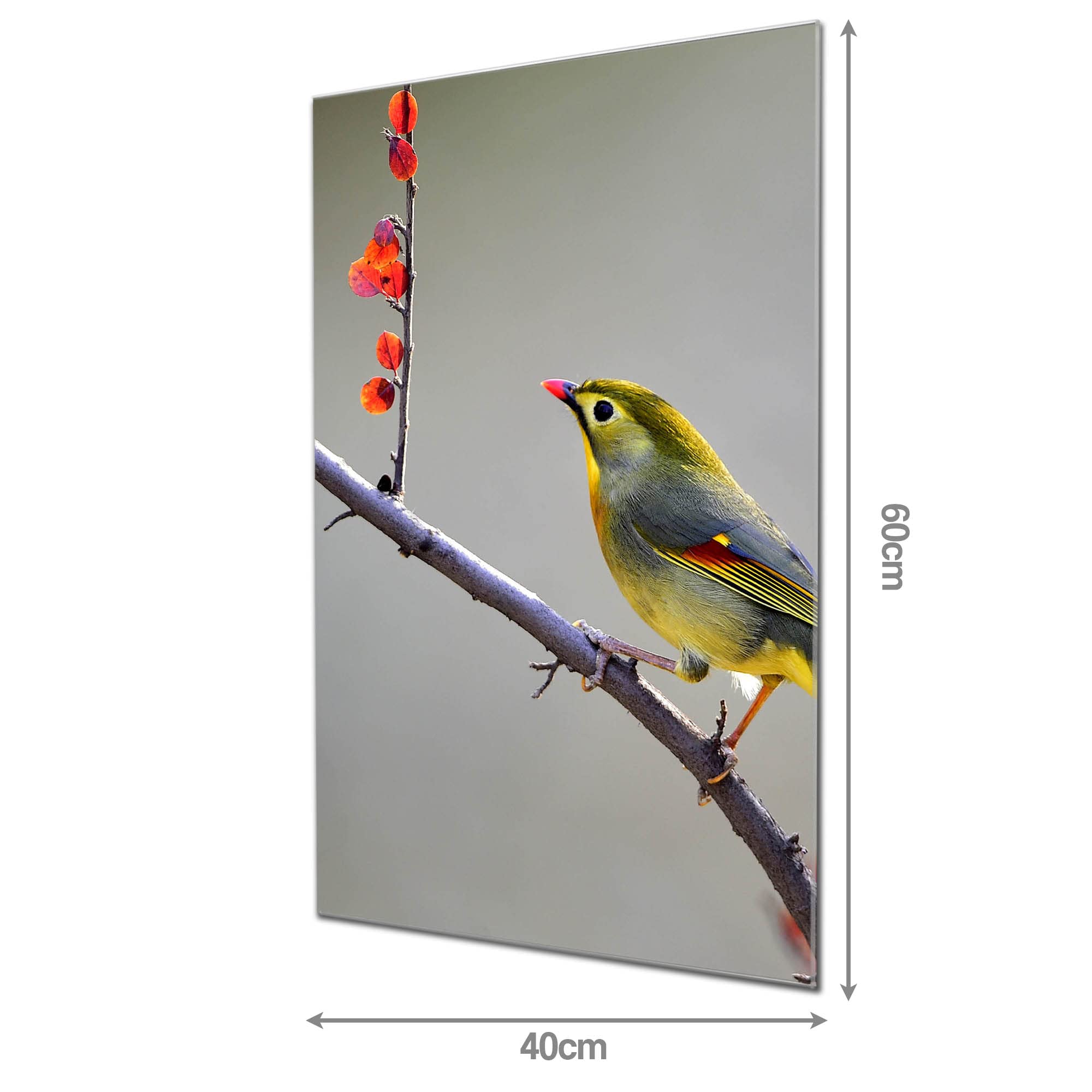 Banjado Magnettafel Herbst Vogel Glasboard 60x40cm
