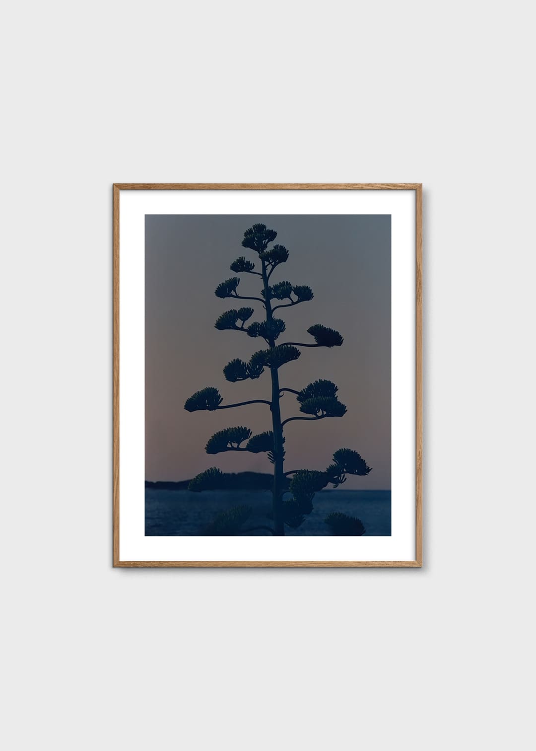 The Poster Club Hvar Agave Flower Poster 40x50 cm blau