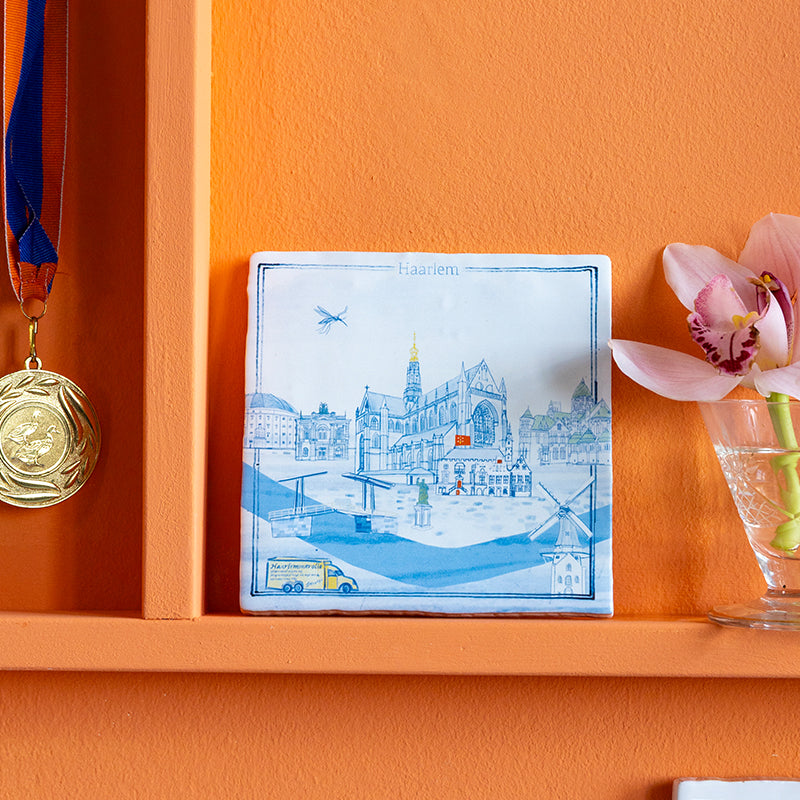 Storytiles Delft Blue Haarlem in n oogopslag Fliese 13x13 cm