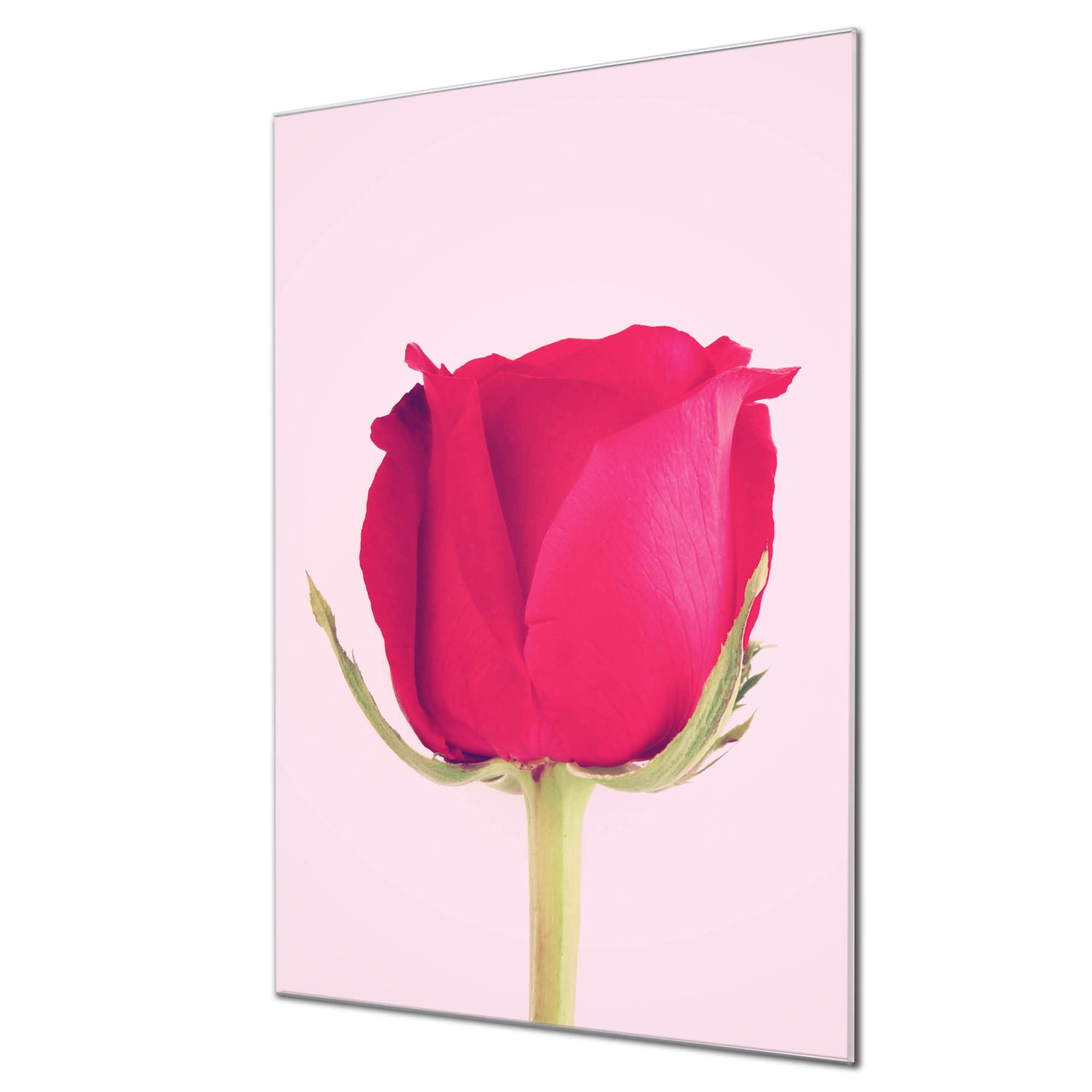 Banjado Magnettafel Brautstrauss Rosen Board 40x60 Glas