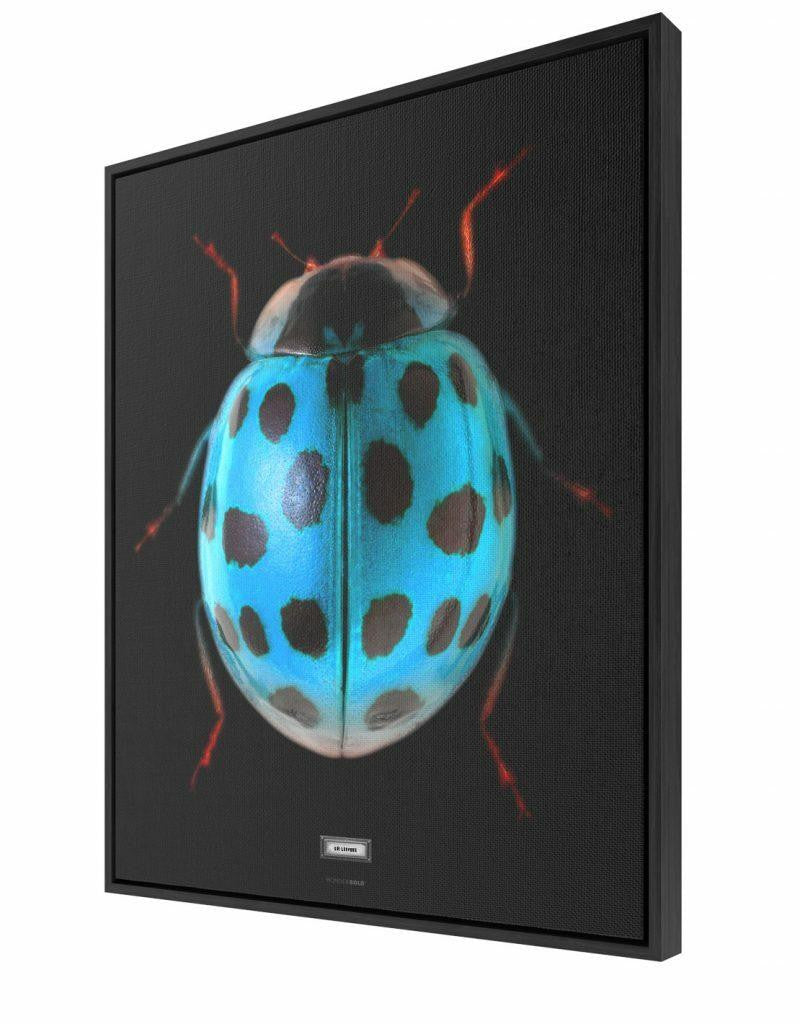 Mineheart Sir Ladybug Canvas Wandbild ohne Rahmen 30x41cm Insekt
