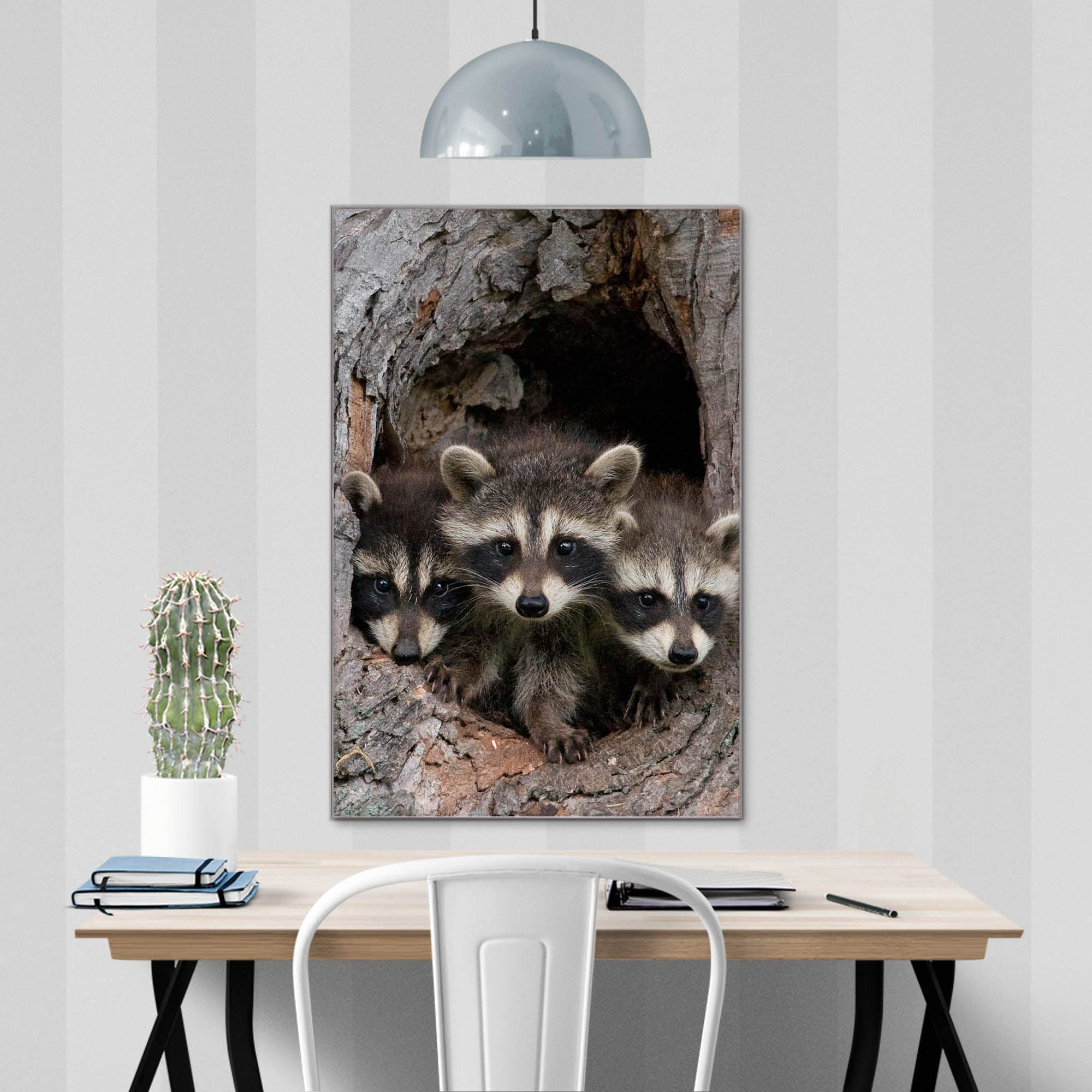 Banjado Magnettafel Drei Waschbären Magnetboard 40x60 beschreibbar