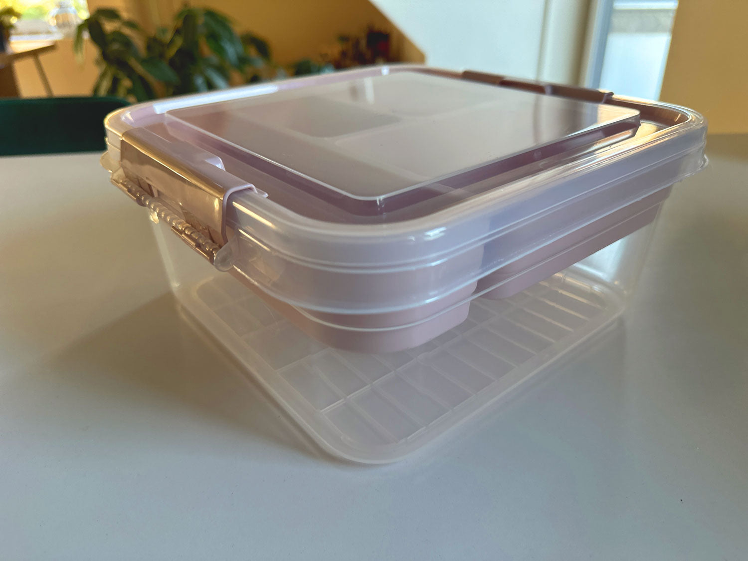 LS-LebenStil Sortierbox Aufbewahrungsbox Rosa 26cm