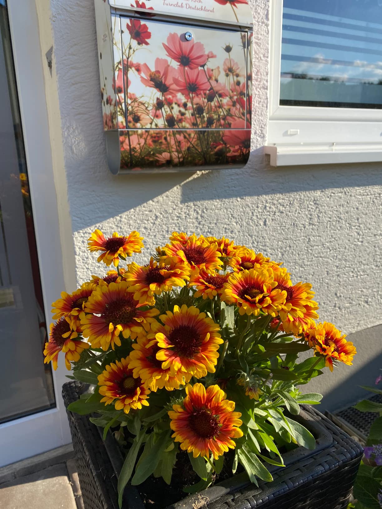 Banjado Briefkasten Schmuckkörbchen Schwarz Zeitungsfach