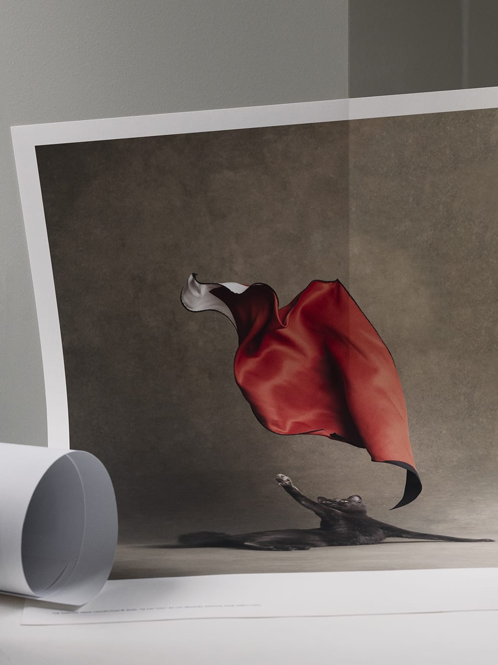 The Poster Club Le Chat Chic Poster 50x70 cm Katzenmotiv