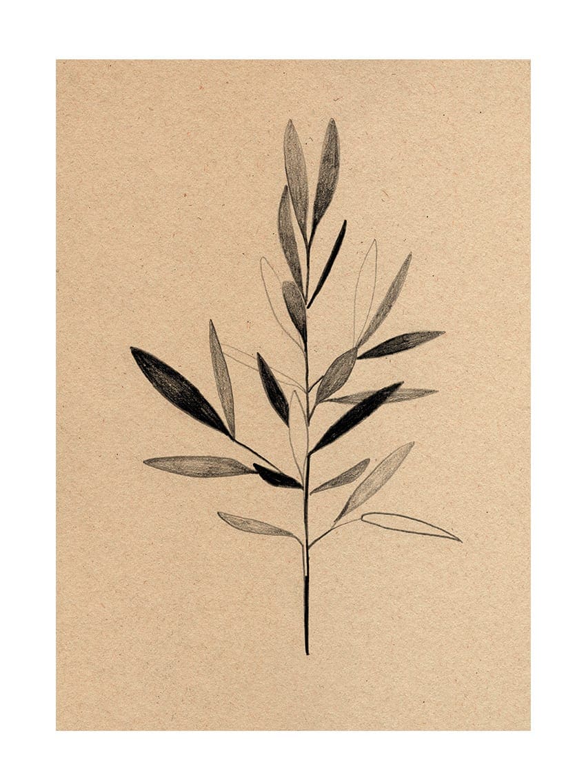 The Poster Club Art Prints Olive Poster 30x40 cm olive