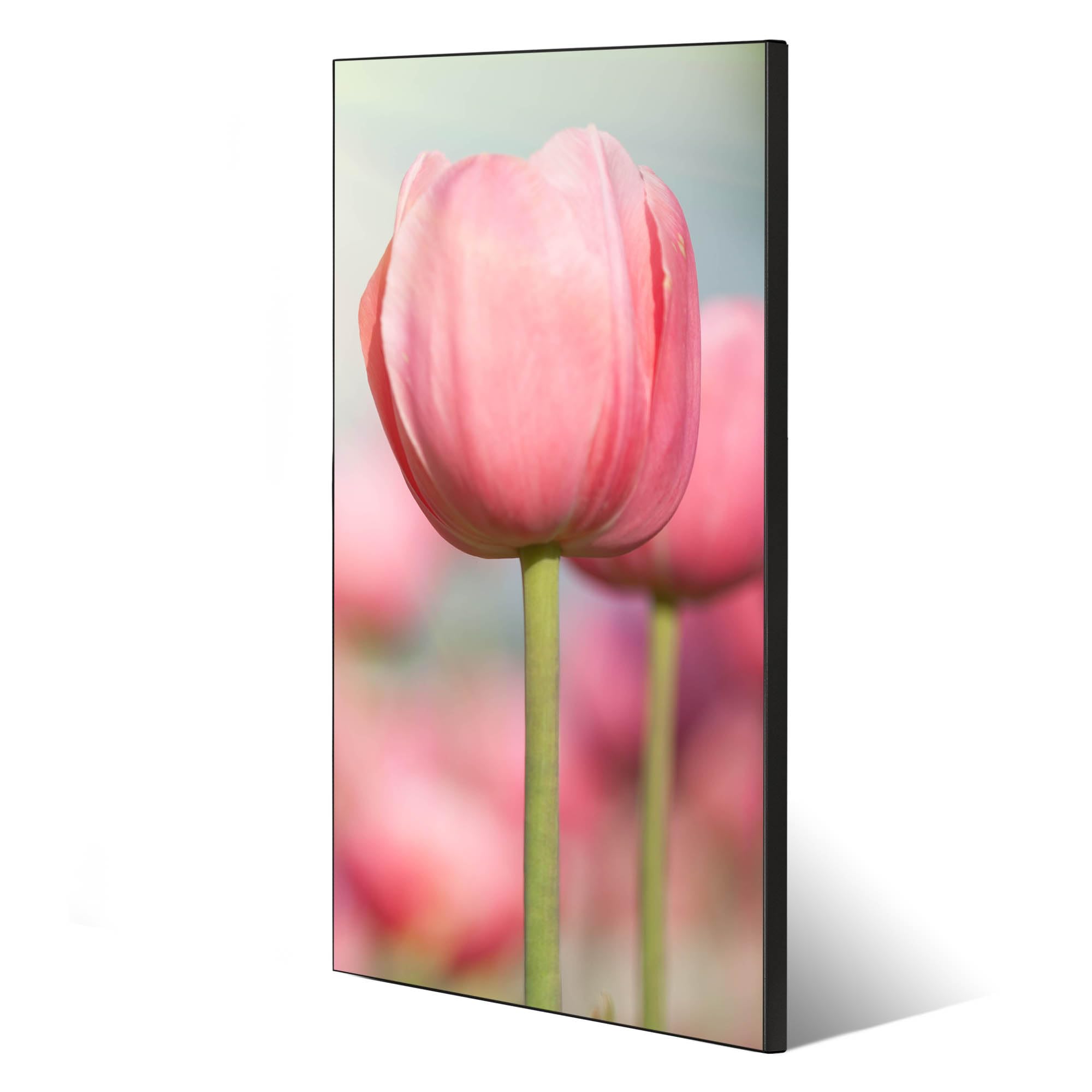Banjado Magnettafel Tulpen 37x78 Magnetpinnwand schwarz Metall