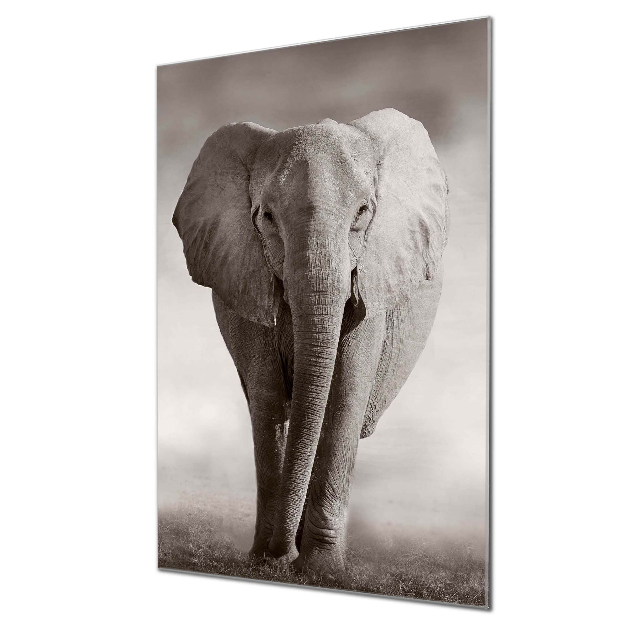 Banjado Magnettafel Glas 40x60cm Pinnwand Indischer Elephant Tier