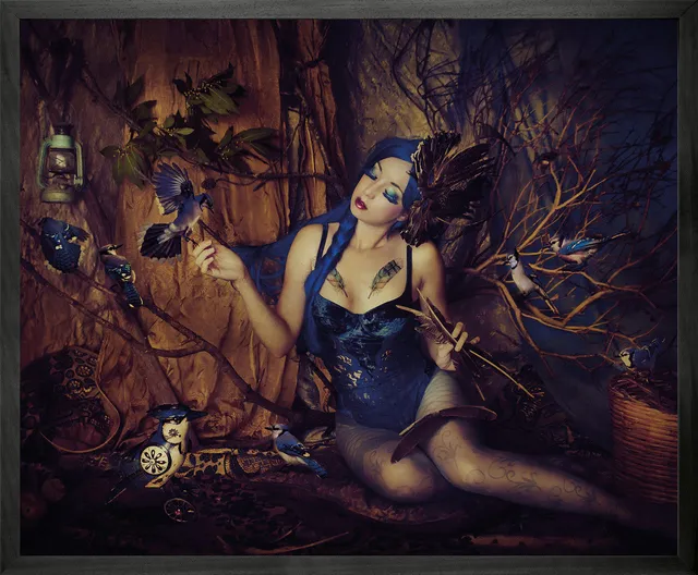 Mineheart Wall Art Bluejay Leinwand gerahmt Mini 53x43 cm