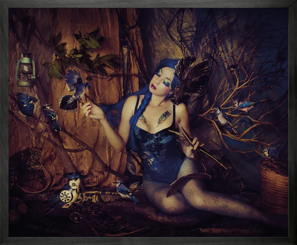 Mineheart Wall Art Bluejay Leinwand gerahmt Mini 53x43 cm