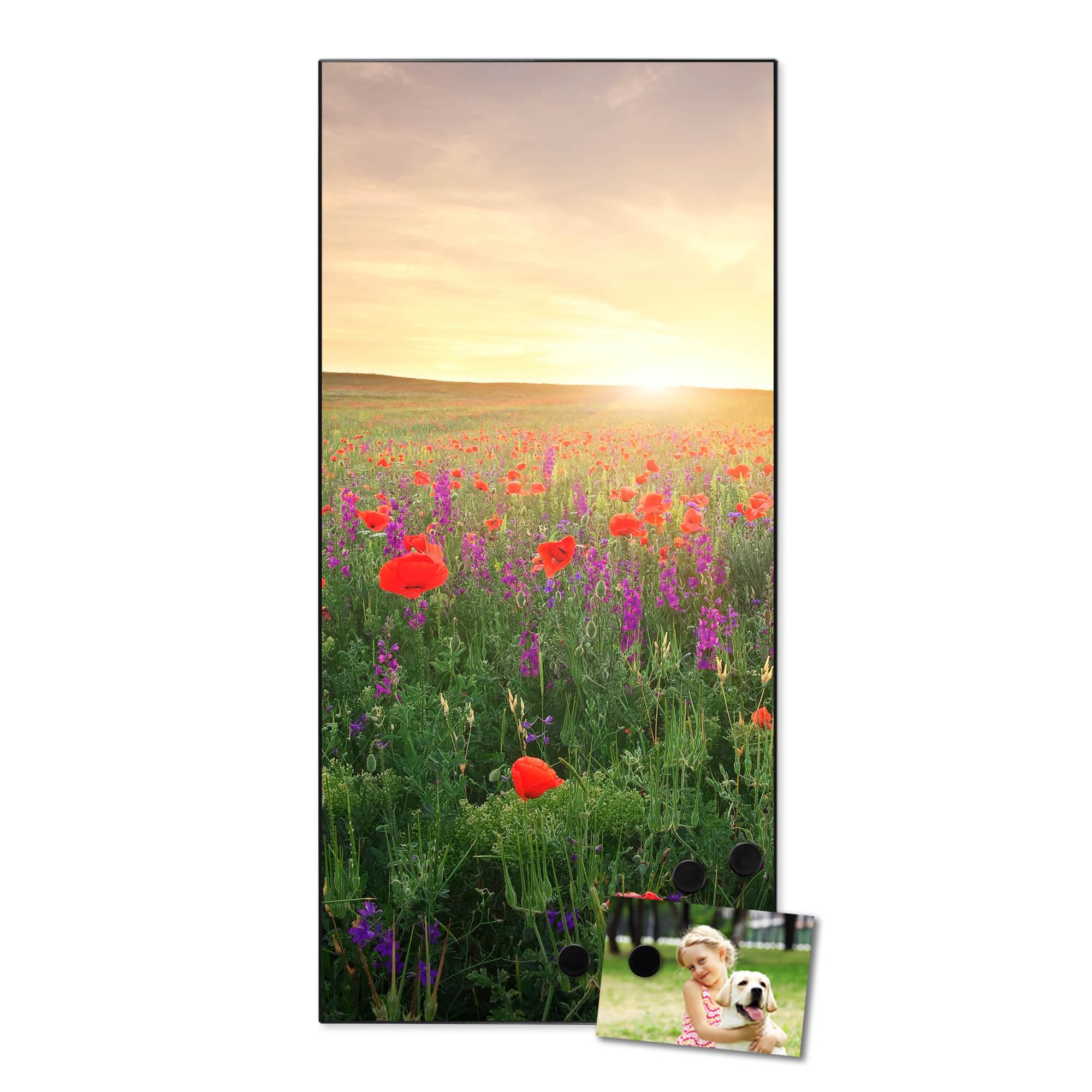 Banjado Magnettafel Sommerfeld weiß 78x37cm magnetisch