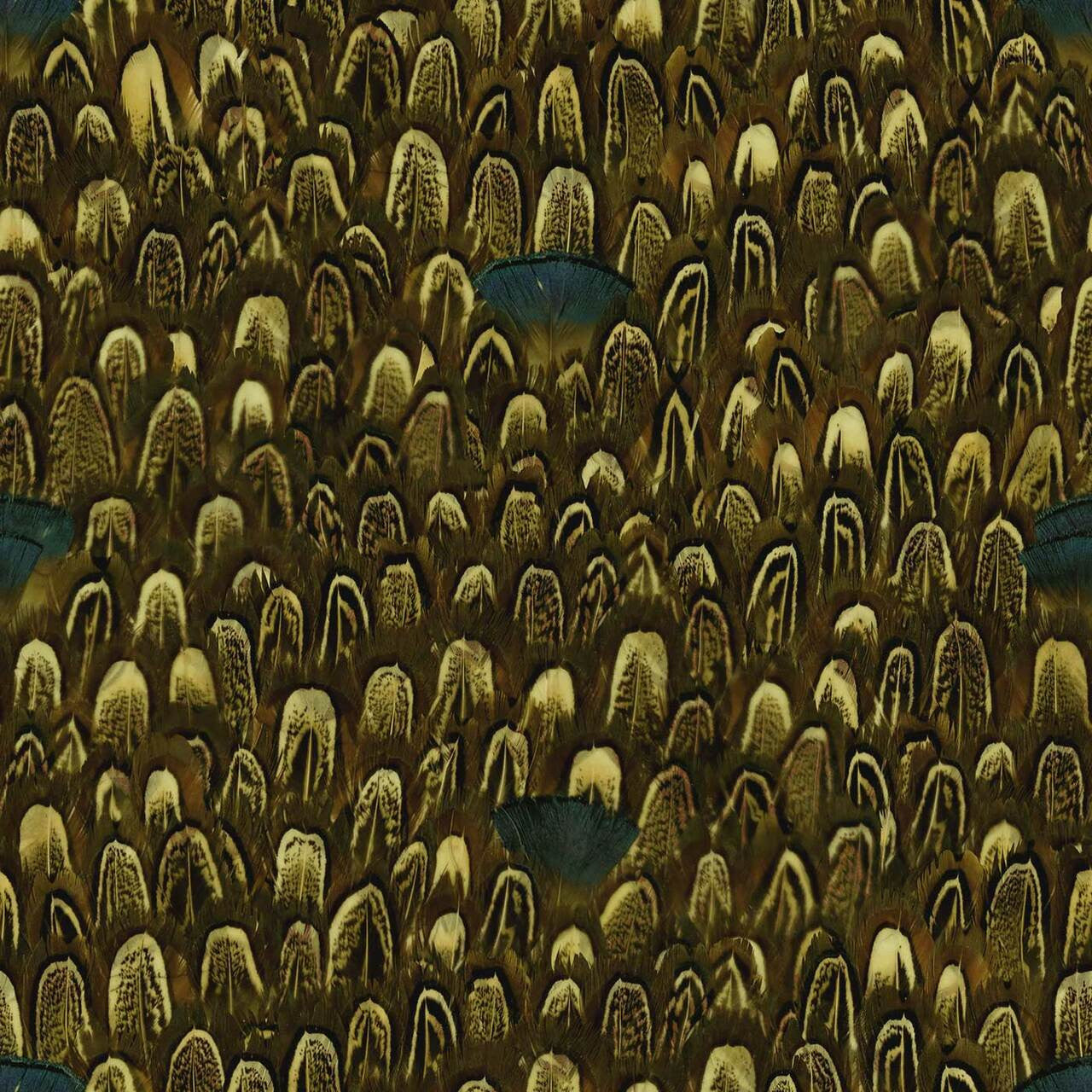 Mineheart Wallpaper Exotic Feathers Tapete gelb blau Feder