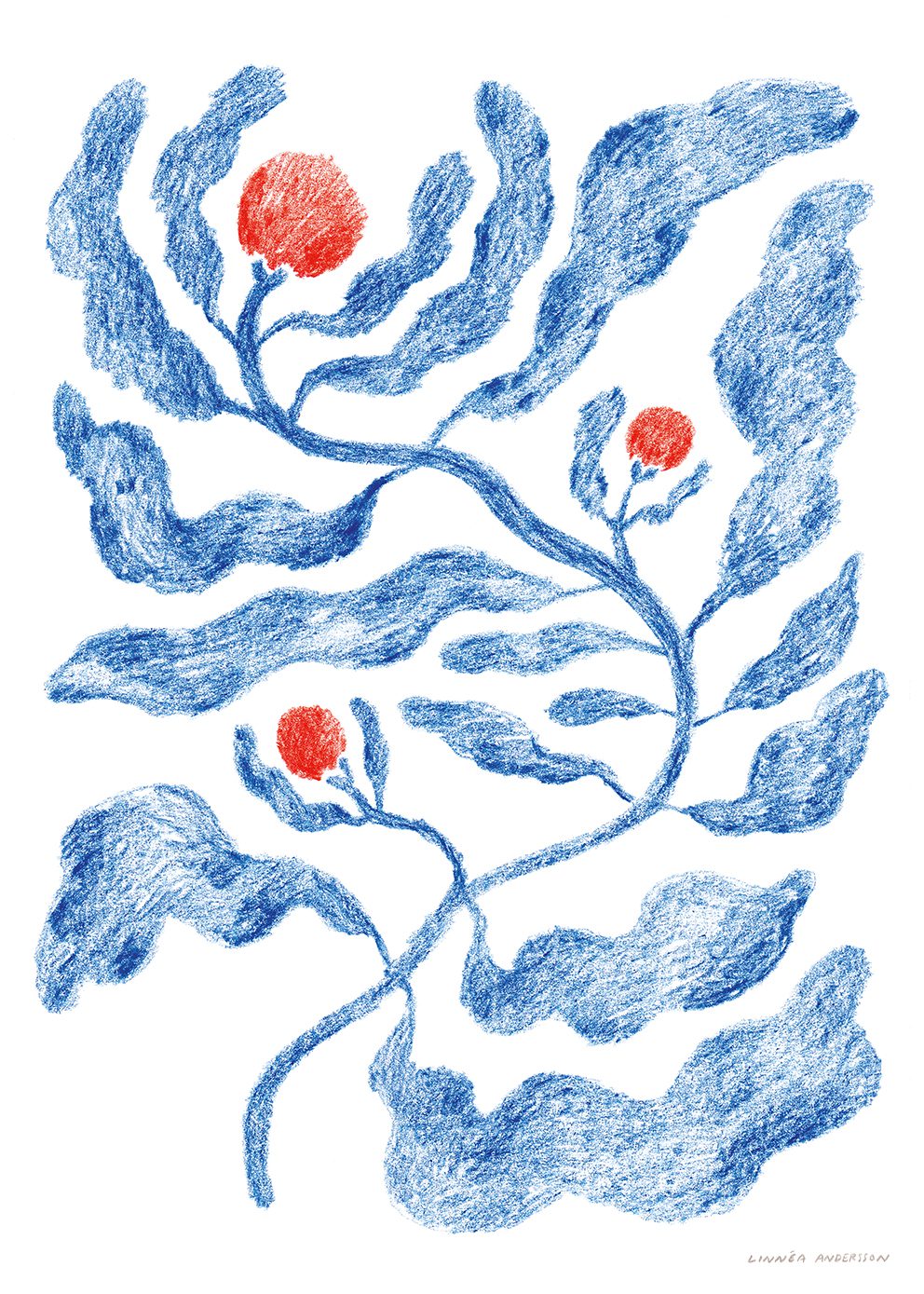 The Poster Club Art Prints Fruits Poster 30x40 cm Botanik