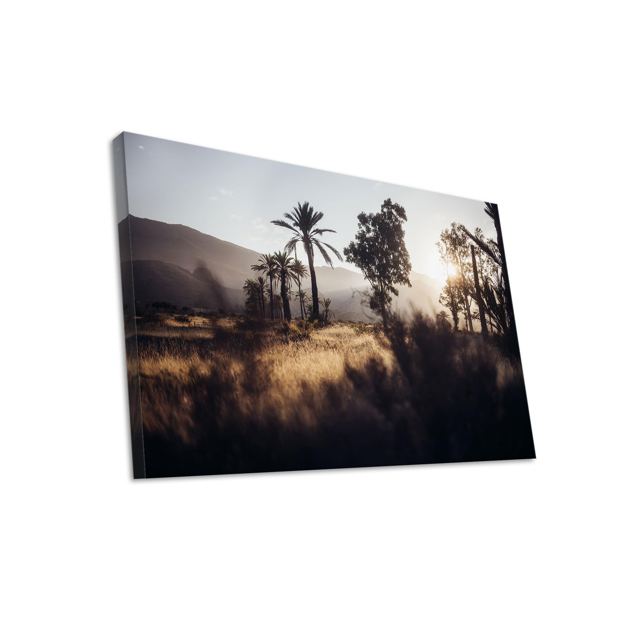 Hustling Sharks Wandbilder Palmenlandschaft Leinwand 40x30 Sonne