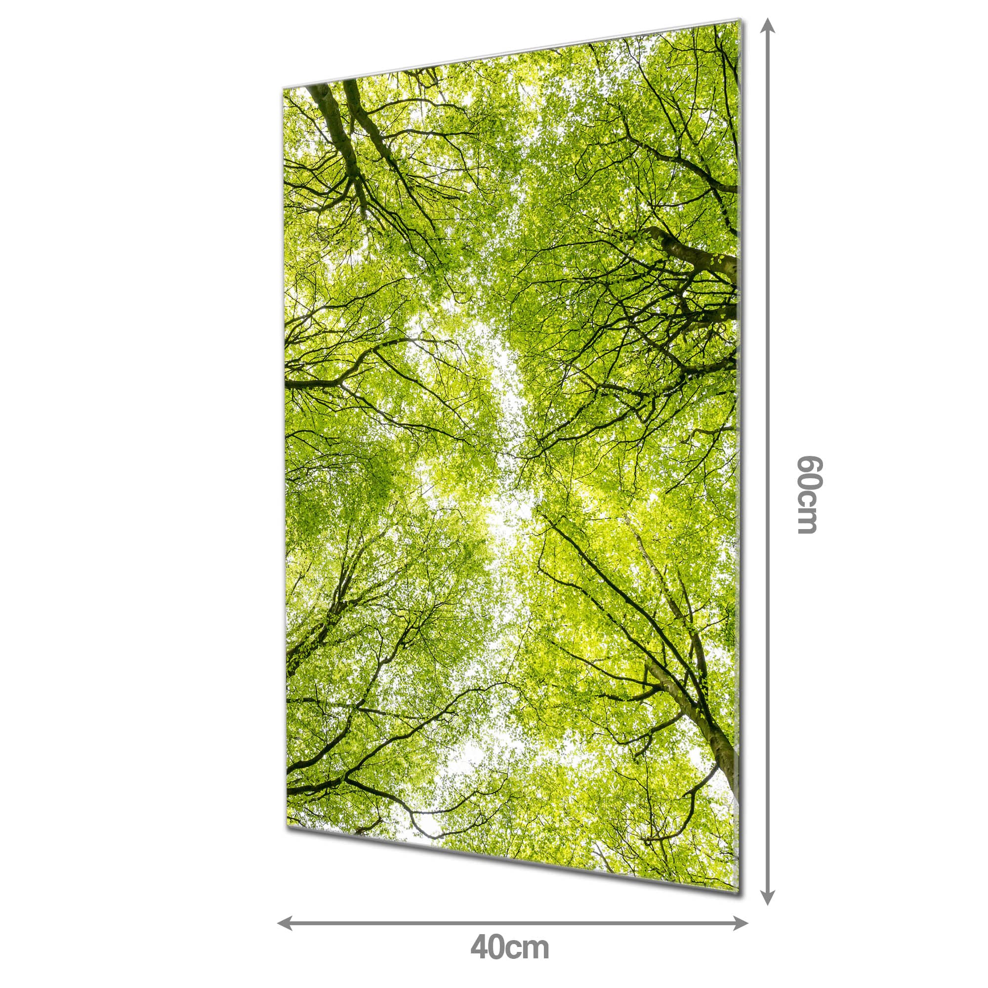 Banjado Magnettafel Zwischen Bäumen Glasboard 40x60 Wald