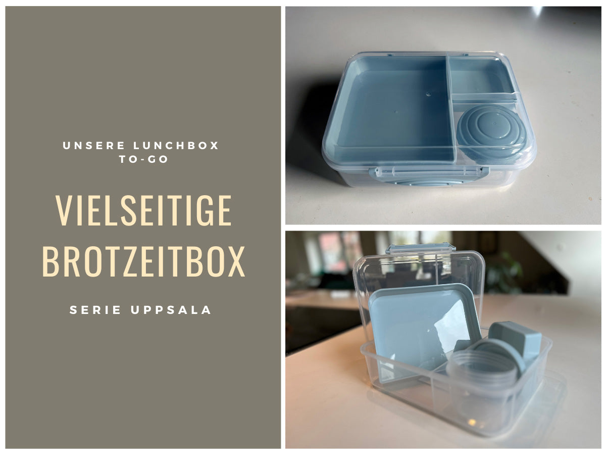 LS-LebenStil Küche & Haushalt Bento Box Blau 3 Fächer 2 Ebenen