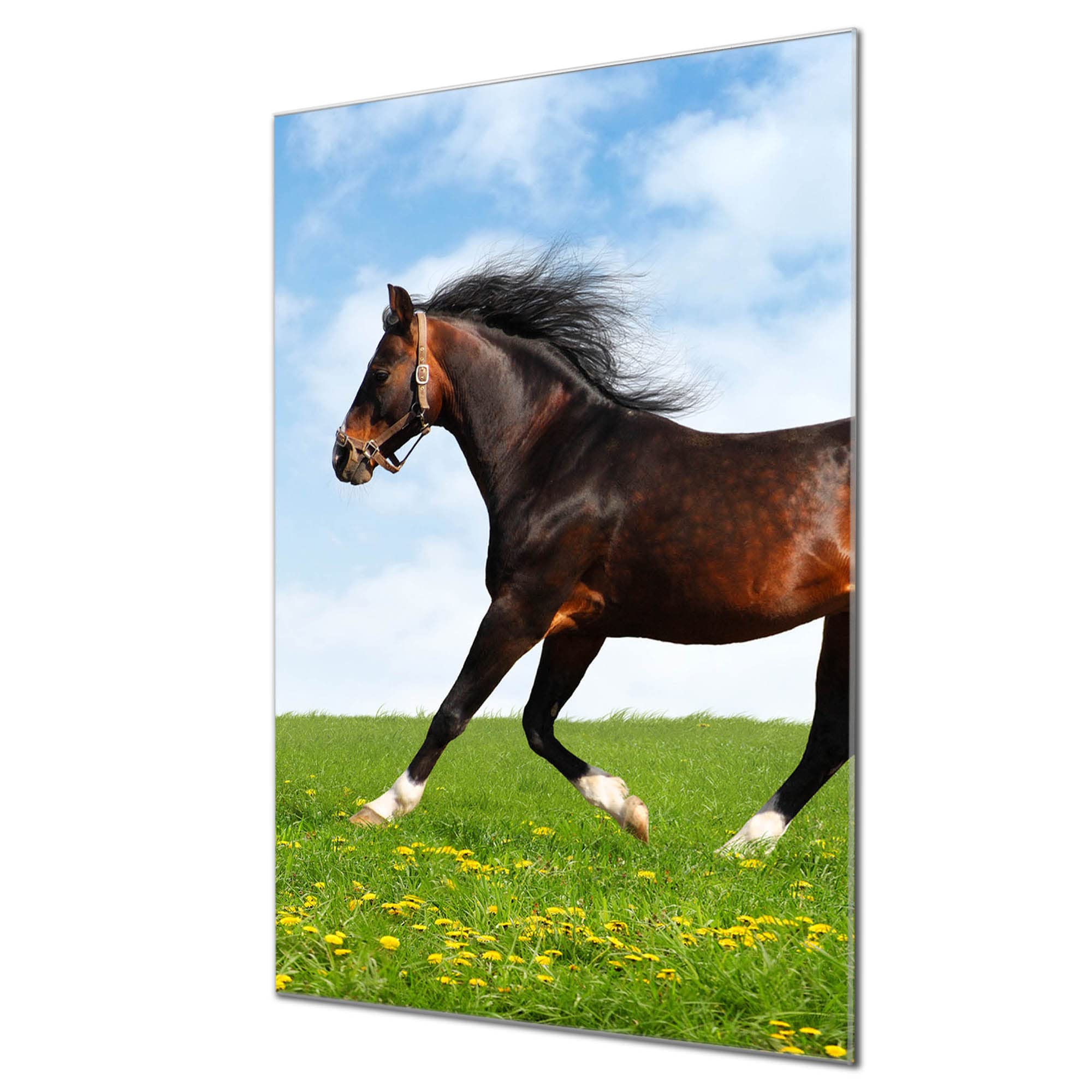 Banjado Magnettafel Einhorn Poygon Glasboard 40x60 Pferd