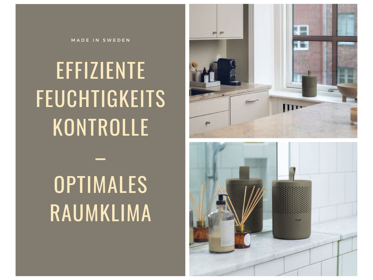 LS-LebenStil Absodry Duo Family 6 Luftentfeuchter grün ohne Strom
