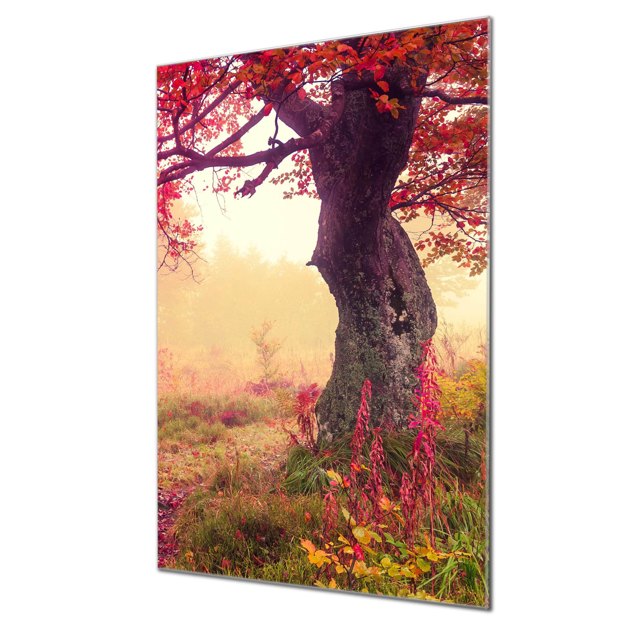 Banjado Glas Magnetwand Bambuswald 40x60cm beschreibbar