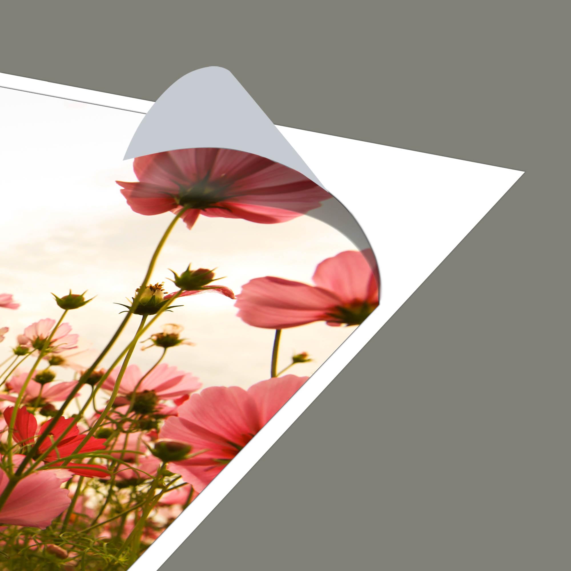 Banjado Möbelfolie Schmuckkörbchen Tischfolie 55x55 floral