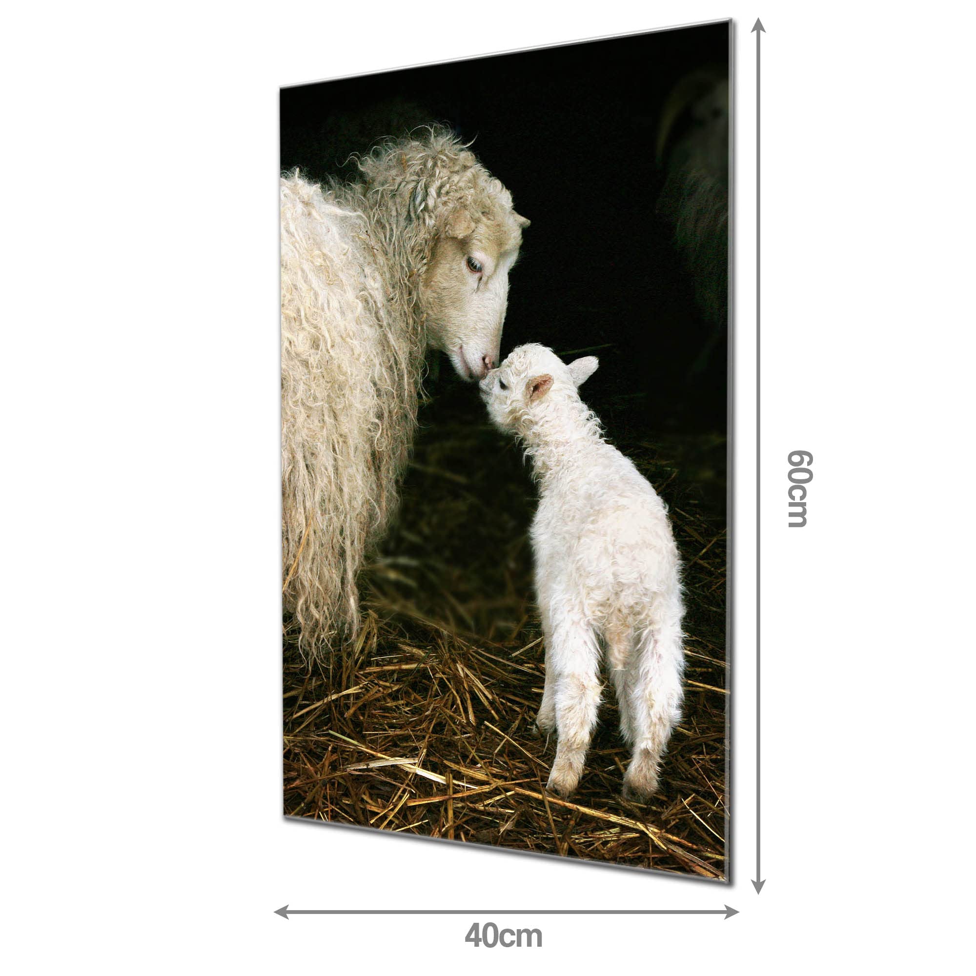 Banjado Magnettafel Glas 60x40cm Schaf und Lamm Tier