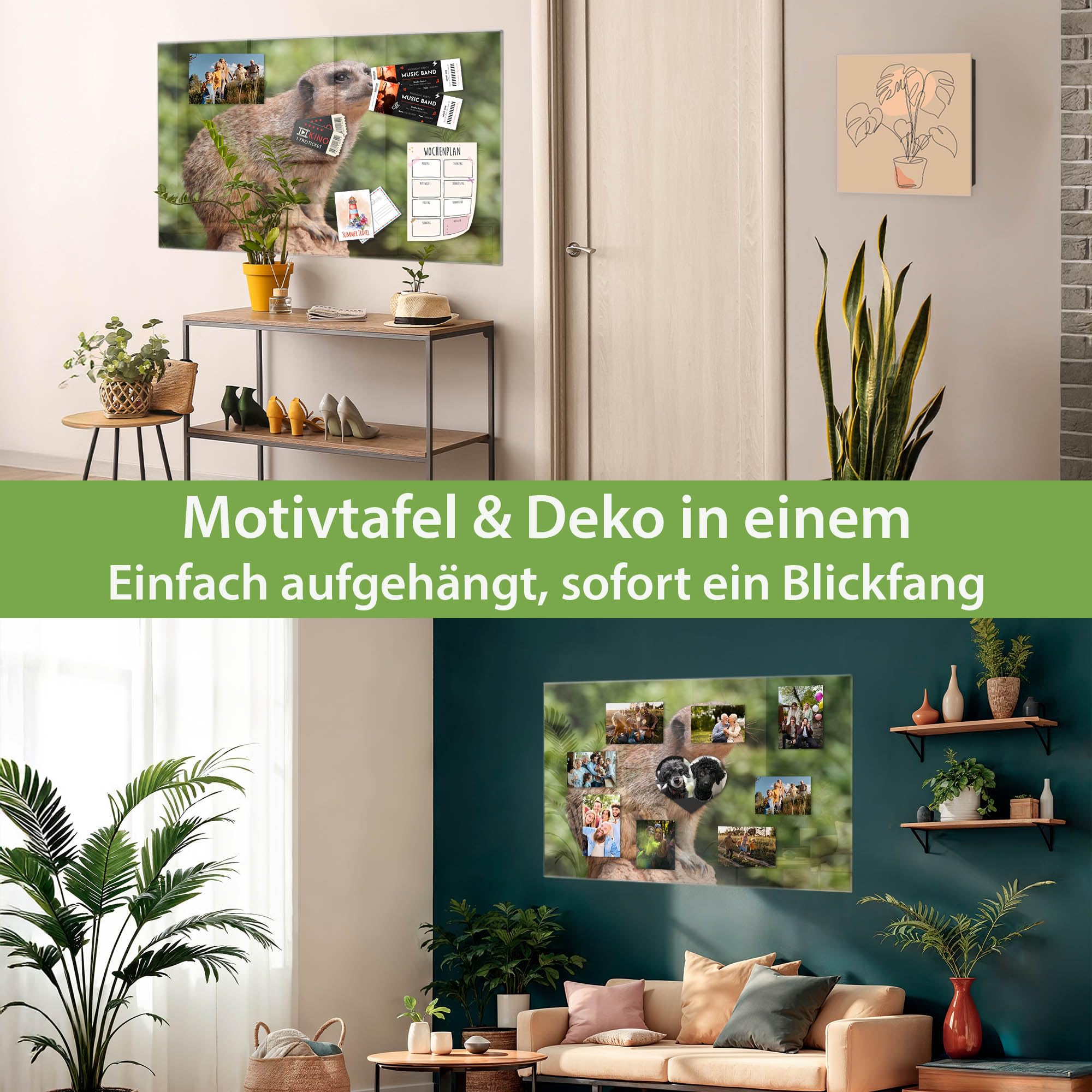 Banjado Magnettafel Erdmännchen 120x80 cm Glas beschreibbar
