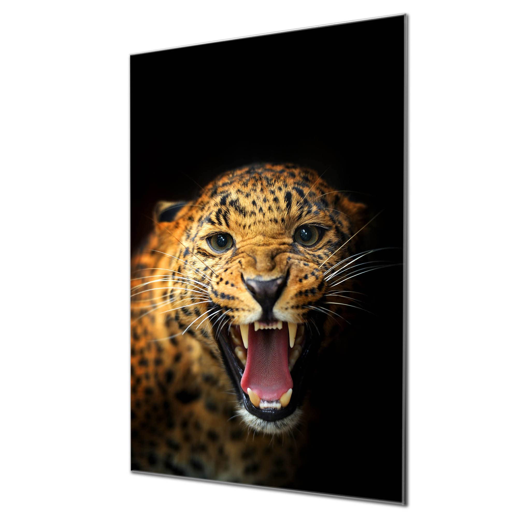 Banjado Magnettafel Löwe Porträt Glas Magnettafel 60x40 beschreibbar