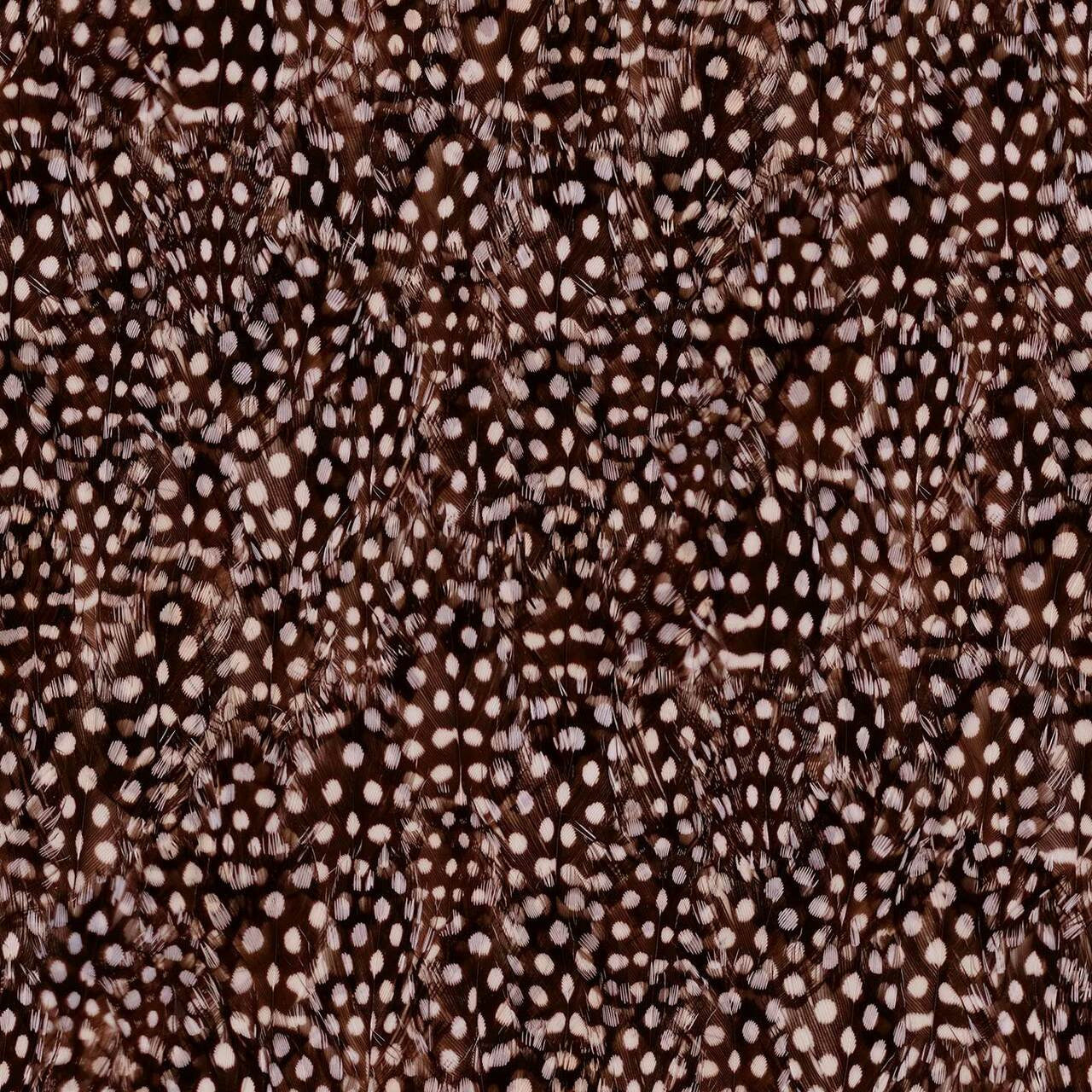 Mineheart Wallpaper Spotty Bird Feathers Tapete Federn dunkel