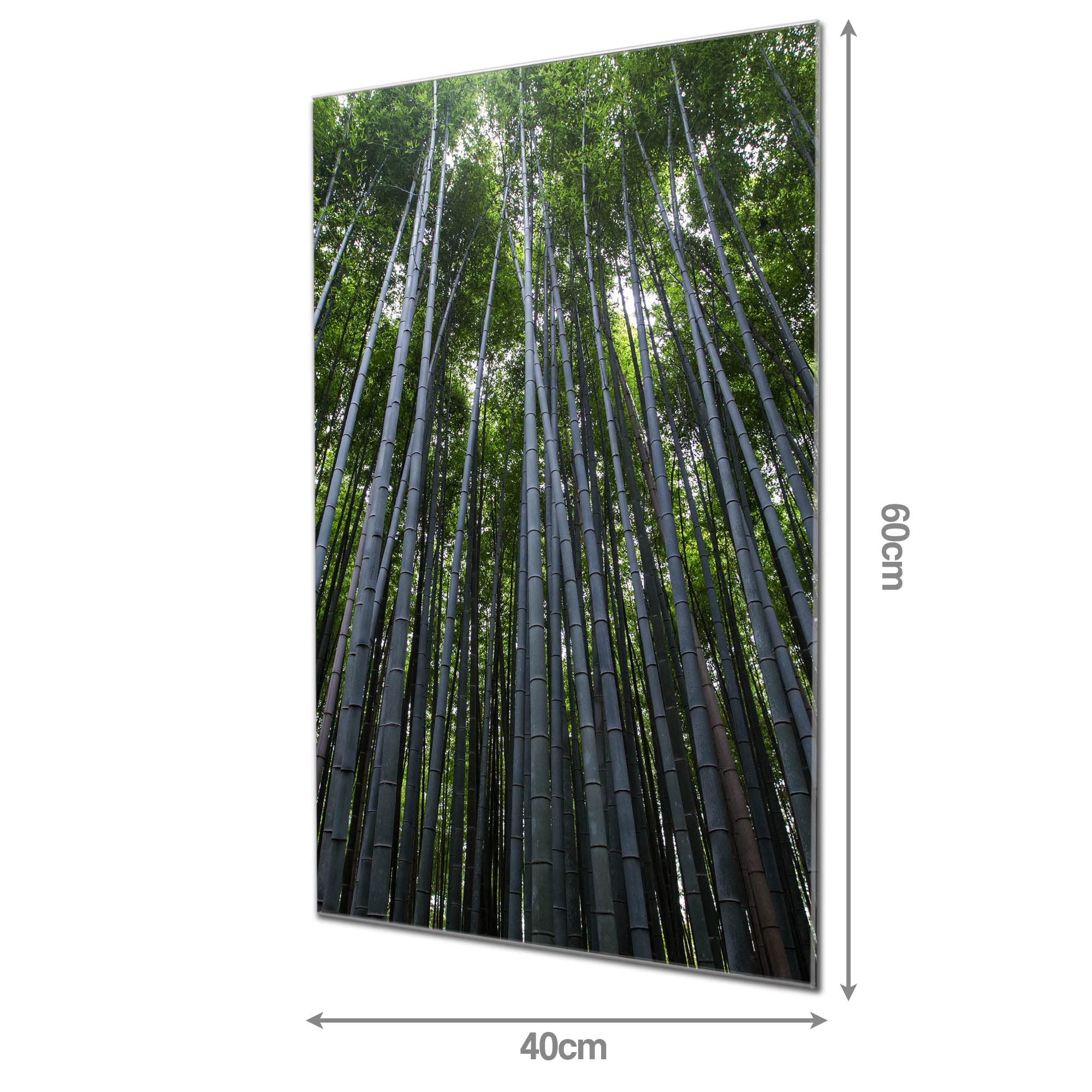 Banjado Glas Magnetwand Bambuswald 40x60cm beschreibbar