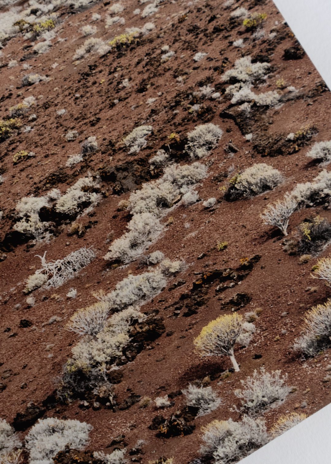 The Poster Club Art Prints El Hierro Poster 30x40 cm Landschaft