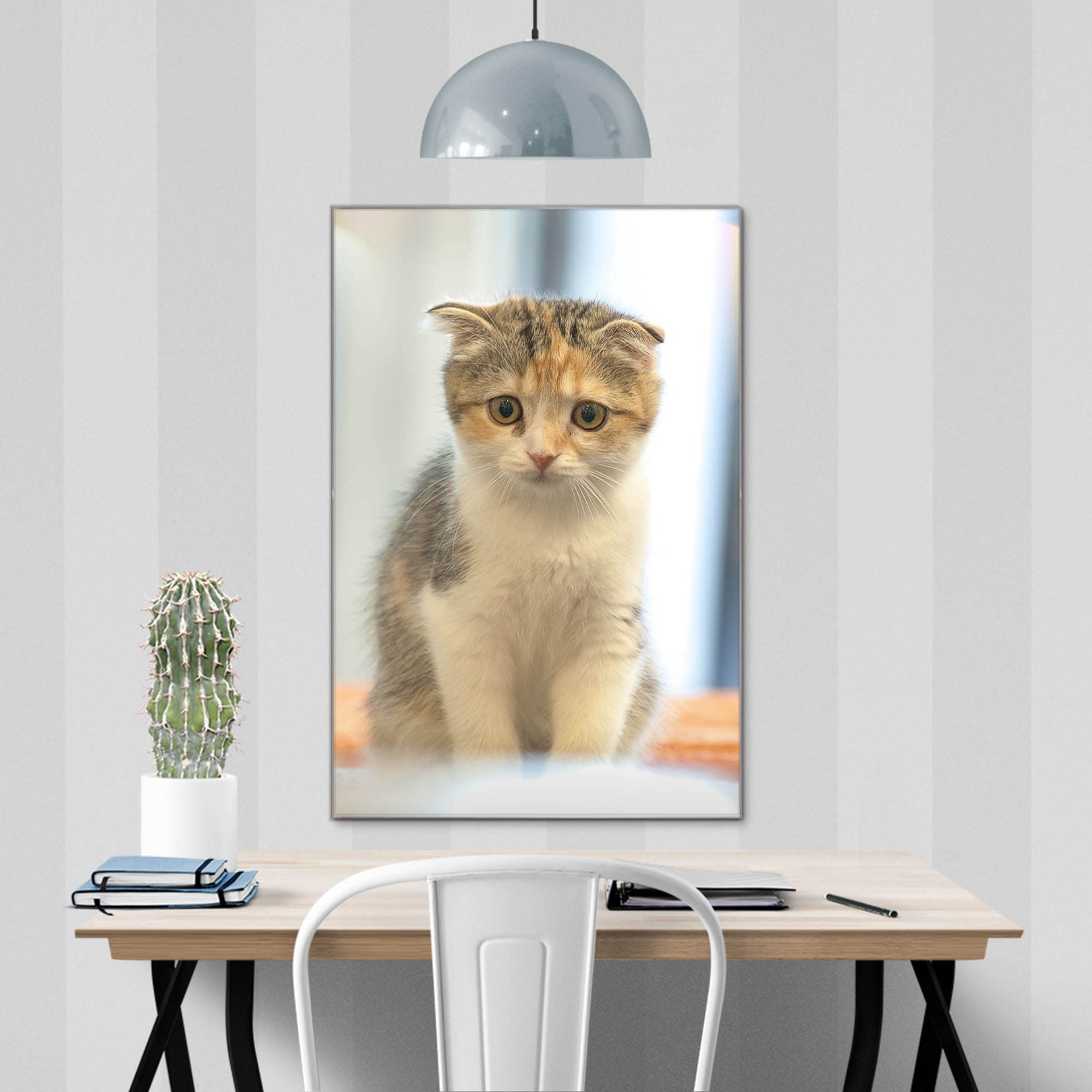 Banjado Magnettafel Kleine Katze Magnettafel 60x40 cm Glas