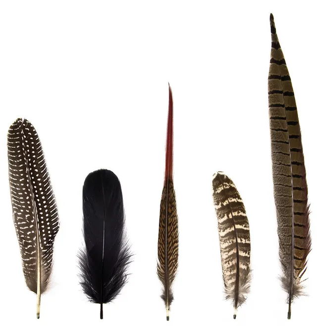 Mineheart Homeware Magic Magnetic Feathers Magnet Woodland 5er