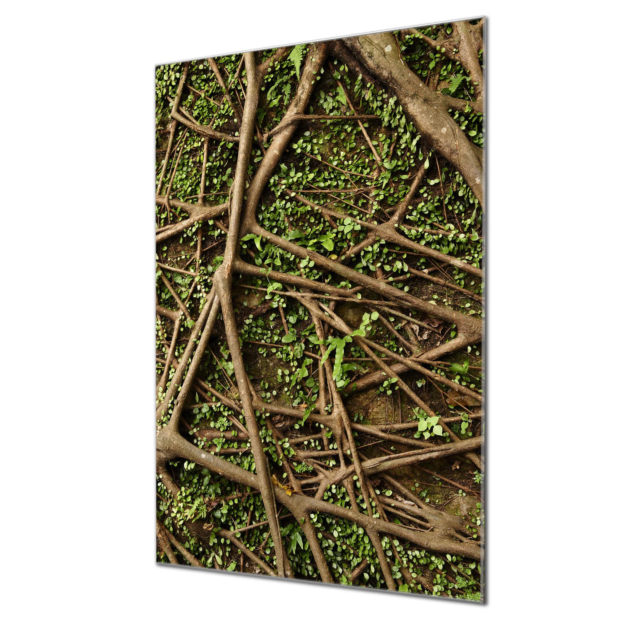 Banjado Magnettafel Baumwurzel Magnetboard 60x40 cm Natur