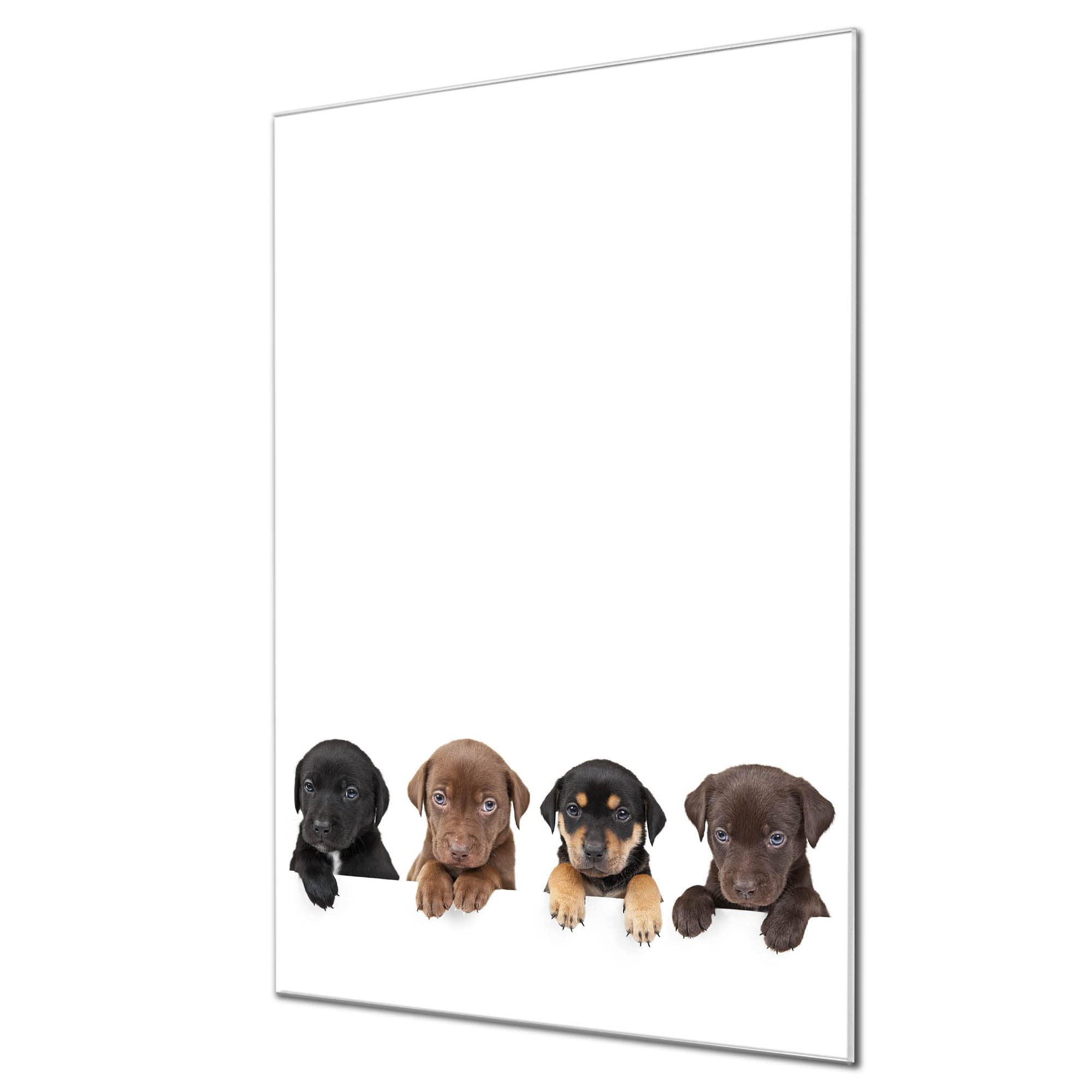 Banjado Magnettafel Glas 40x60cm Magnetboard Bunter Dalmatiner Hund