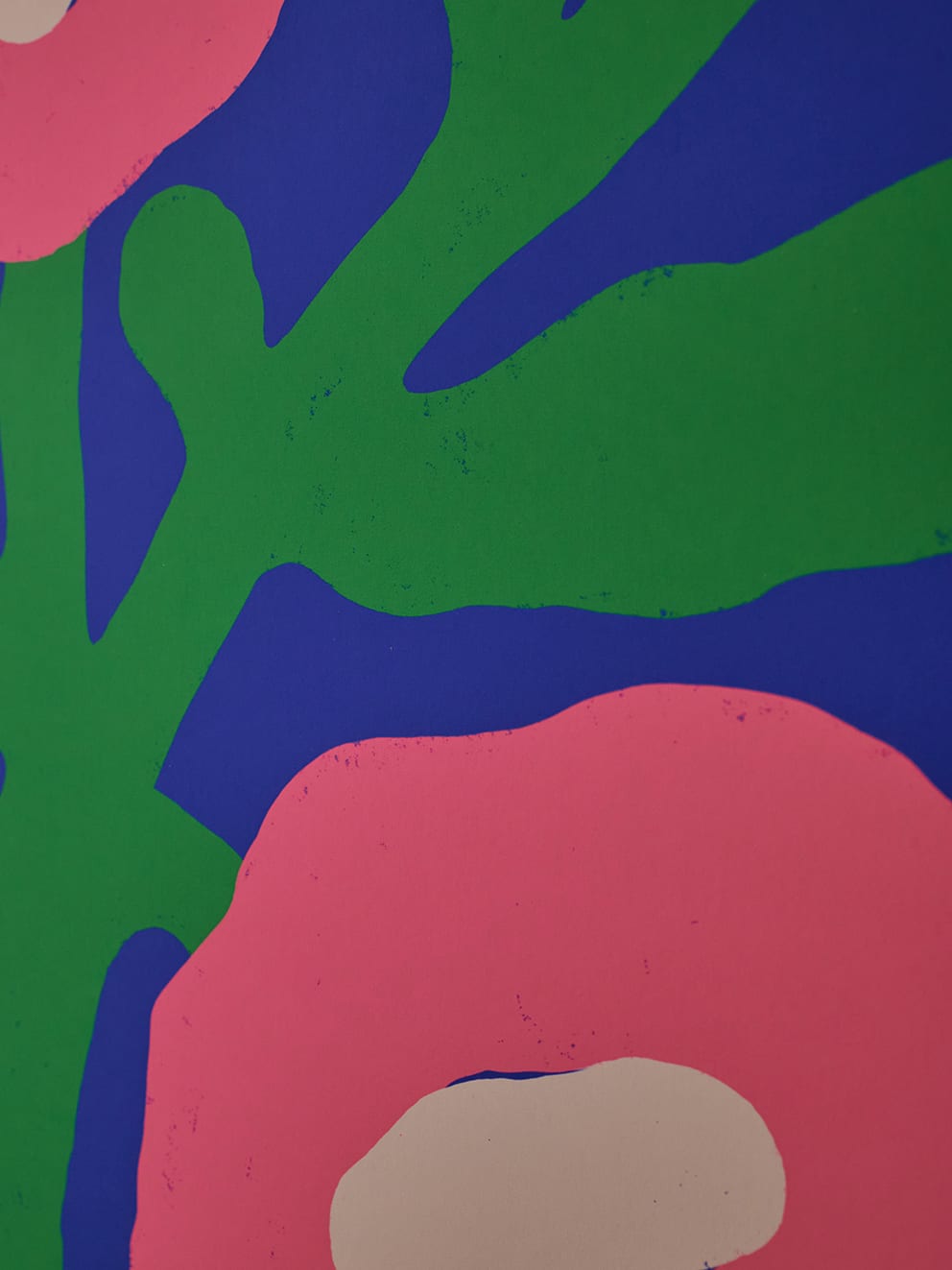 The Poster Club Pink Poppies Poster A4 rosa botanisch